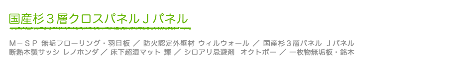 Jパネル