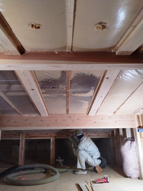 シュタイコ〈STEICO〉